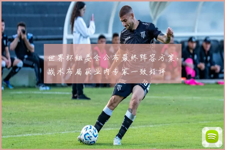 世界杯组委会公布最终阵容方案,战术布局获业内专家一致好评
