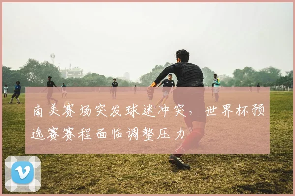 南美赛场突发球迷冲突，世界杯预选赛赛程面临调整压力