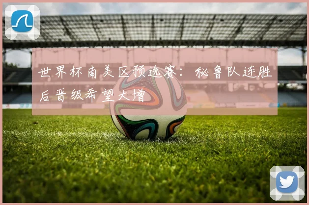 世界杯南美区预选赛：秘鲁队连胜后晋级希望大增